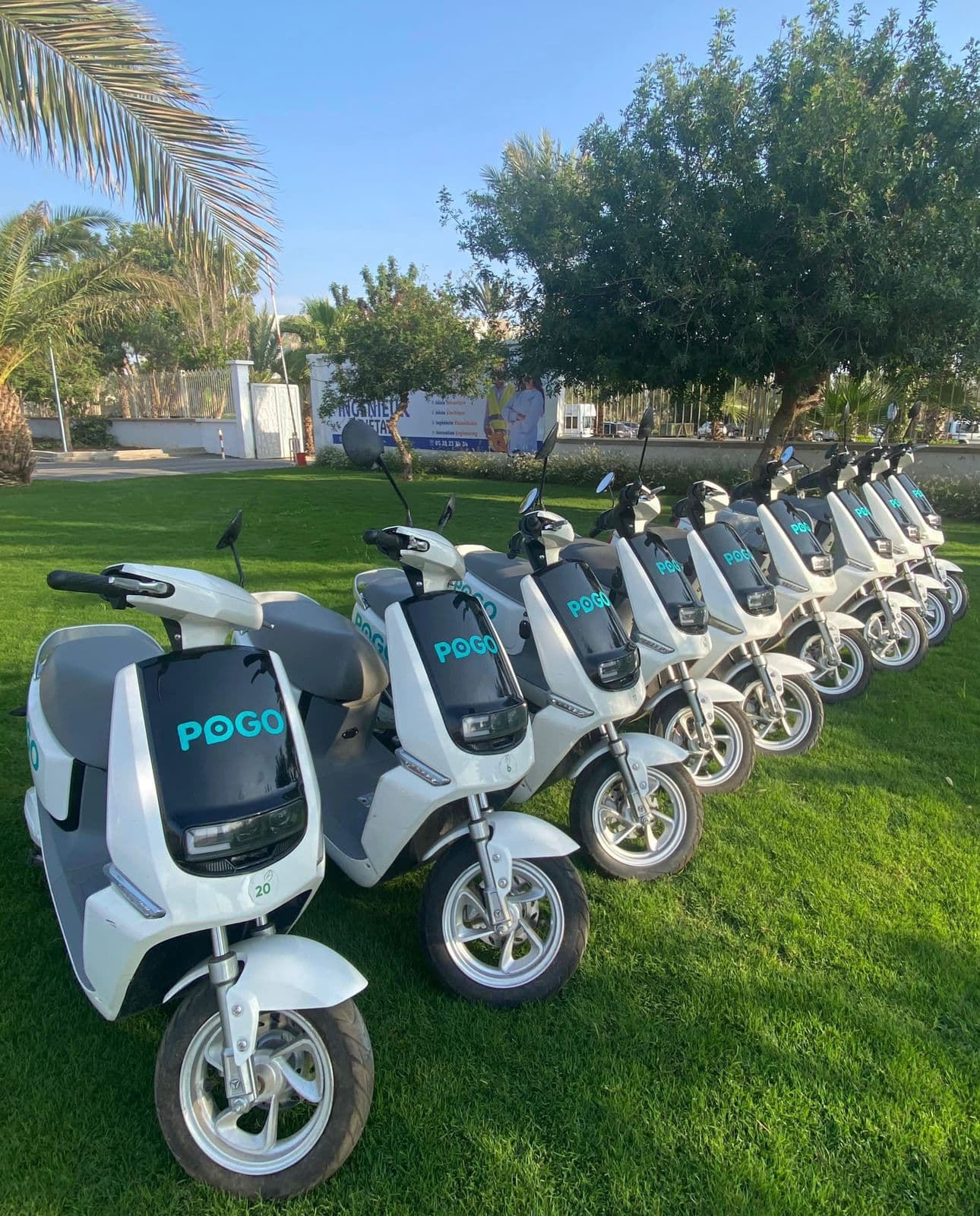 location rent renting scooters motos gallery image photo 12