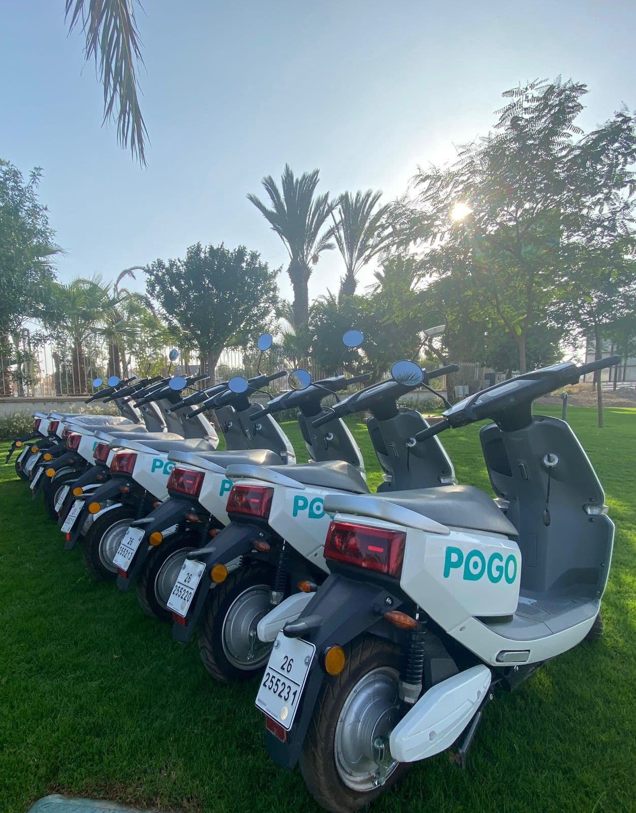 location rent renting scooters motos gallery image photo 13