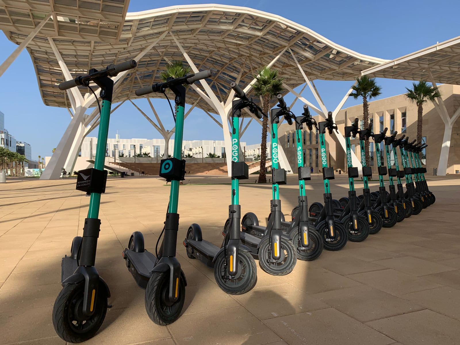 location rent renting scooters motos gallery image photo 3